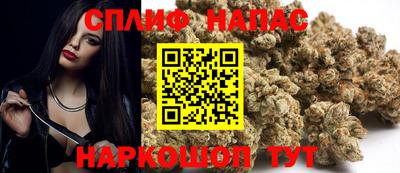 мет Кингисепп